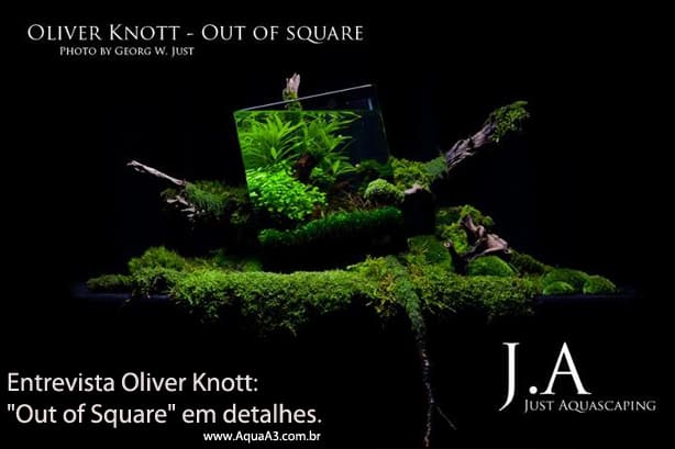 out-of-square-oliver-knott