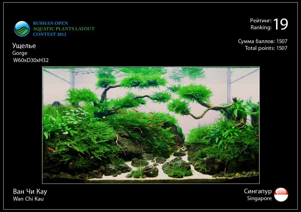 Rank 19 Russian Open Aquatic Plants Layout Contest 