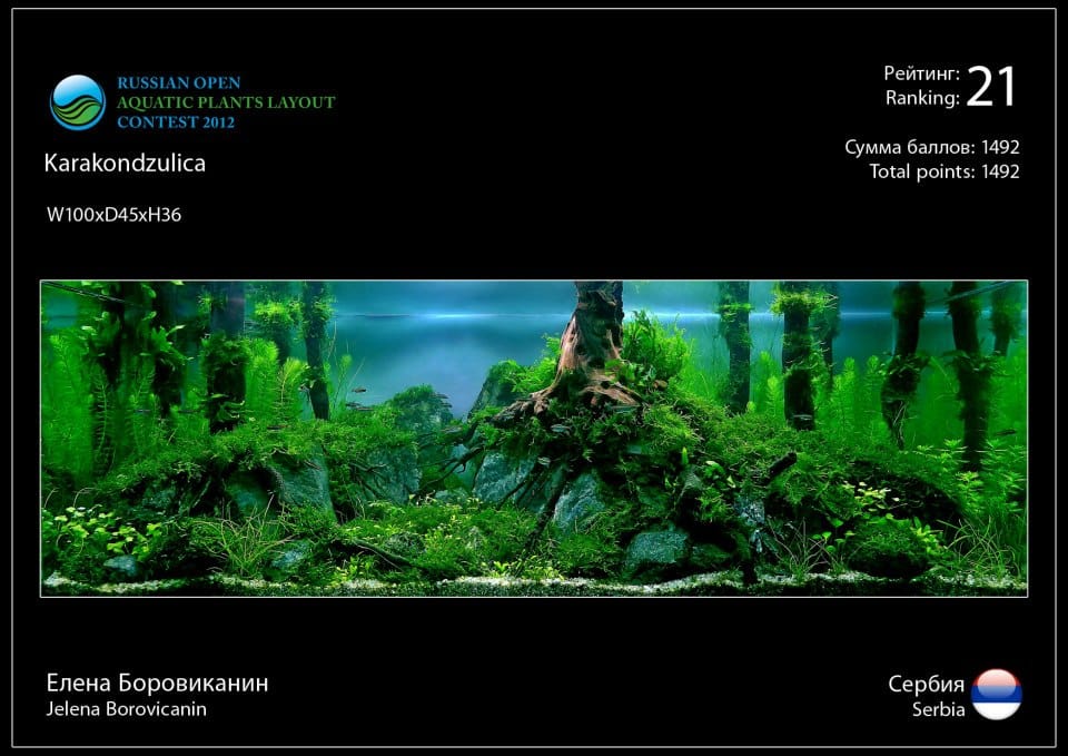 Rank 21 Russian Open Aquatic Plants Layout Contest 