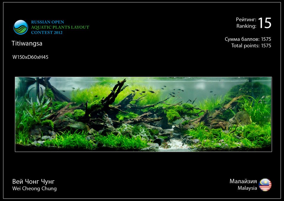 15 Russian Open Aquatic Plants Layout Contest 