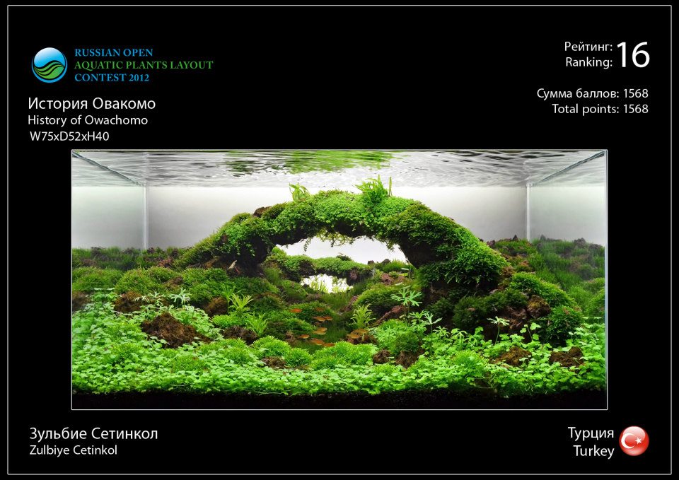 Rank 16 Russian Open Aquatic Plants Layout Contest 