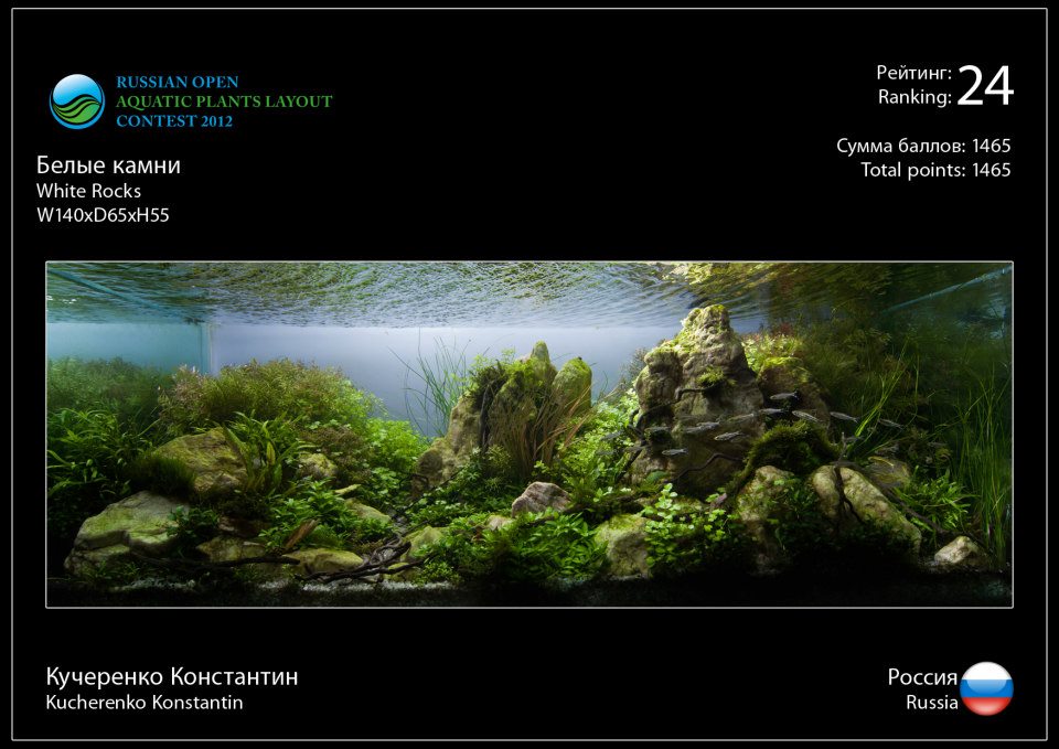 Rank 24 Russian Open Aquatic Plants Layout Contest