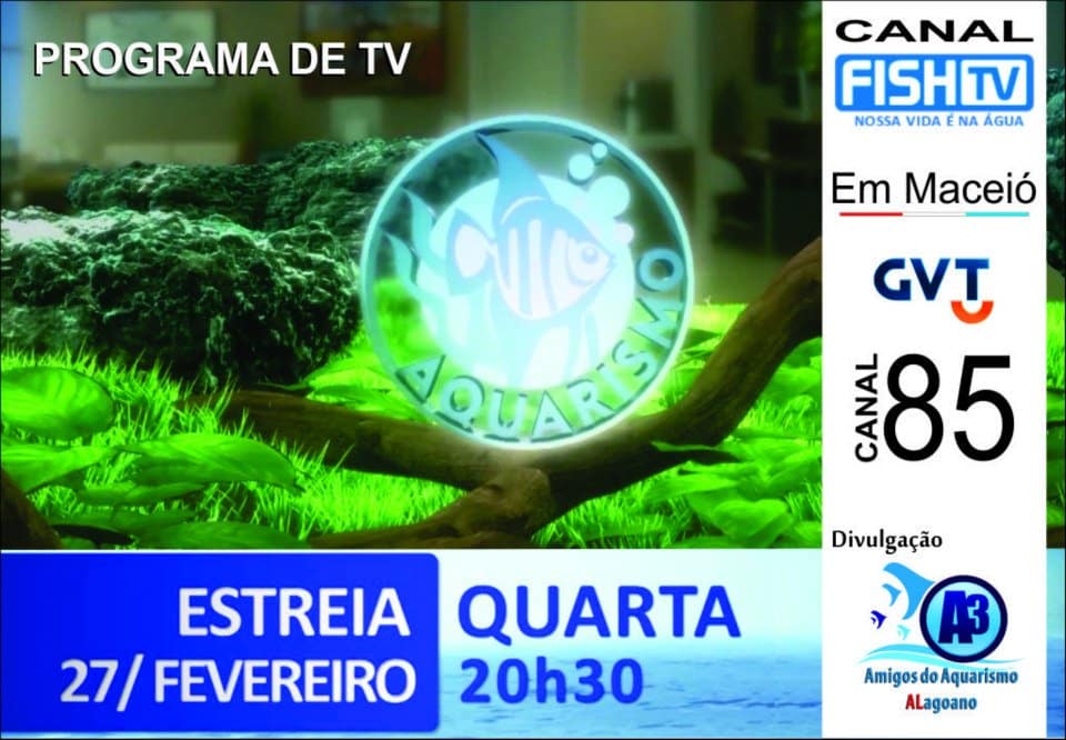 Fish Tv Aquarismo