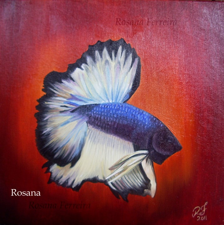 Arte no aquarismo - Betta 2