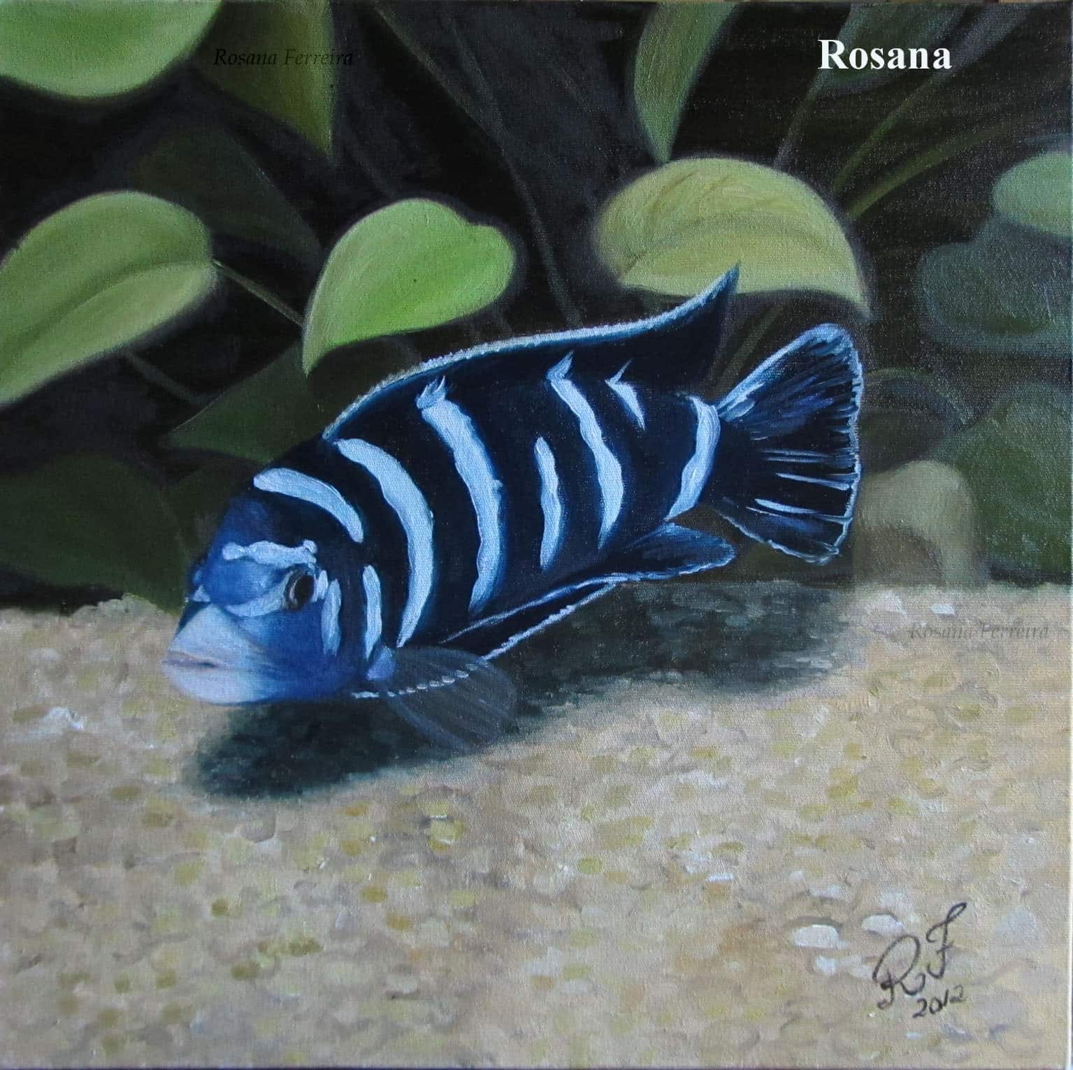 Arte no aquarismo - Demasoni