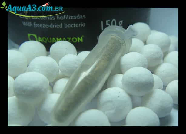 X100 mini da Aquamazon, eu usei um pote de 500g . X100 mini da Aquamazon, eu usei um pote de 500g .