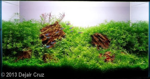 Dejair Cruz (Maringa – PR) Dejair Cruz (Maringa – PR)