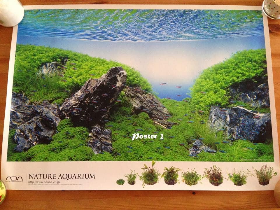 Sorteio: Nature Aquarium Calendar 2014