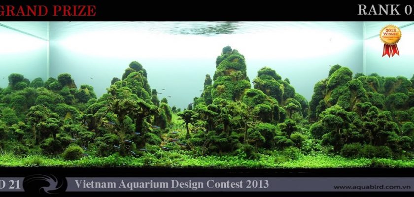 Quan Nguyen Minh Resultado do Vietnam Aquatic Design Contest 2013