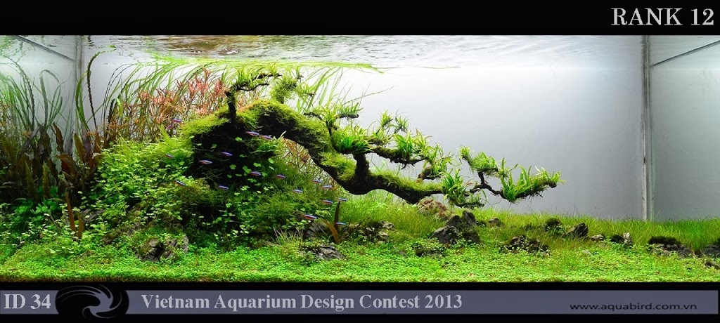 Resultado do Vietnam Aquatic Design Contest 2013
