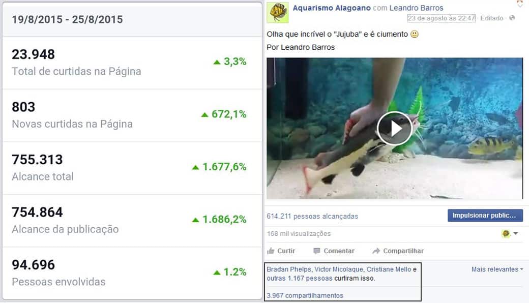 Fan page no Facebook Aquarismo Alagoano