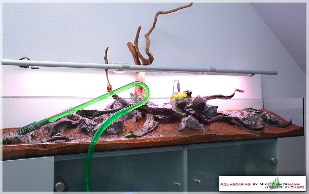 Aquascaping evolution The Optical ilusion by Mike Zimmermann