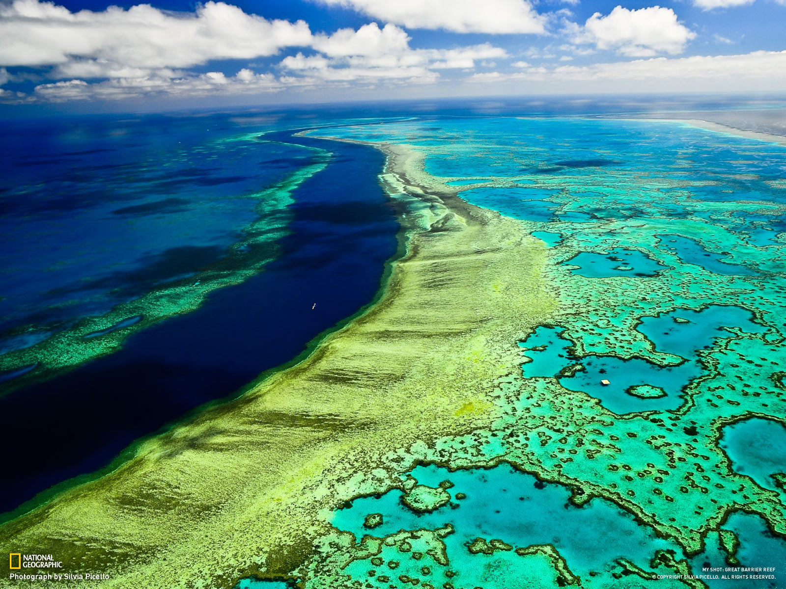 Austrália divulga diminuição de poluentes na Grande Barreira de Corais