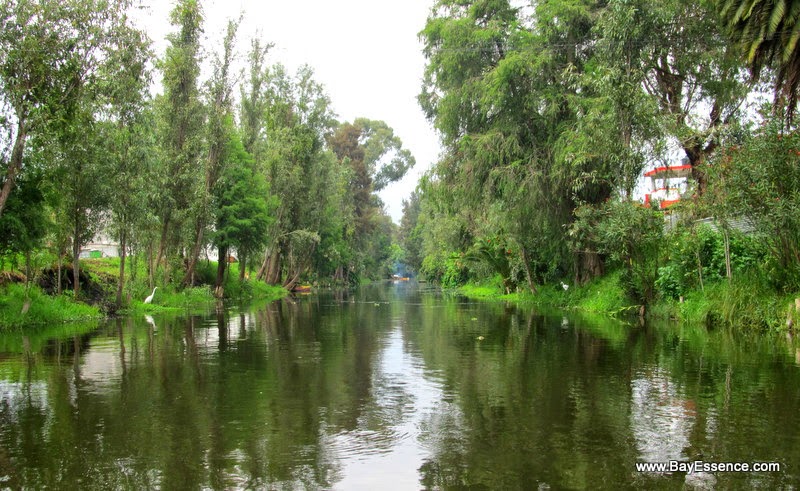 Lago Xochimilco