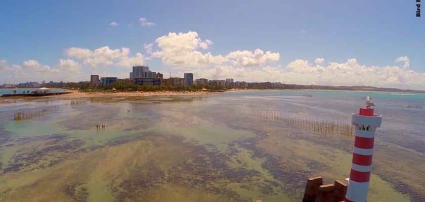 1 Plano Nacional para a defesa dos corais em Alagoas