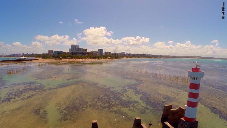 1 Plano Nacional para a defesa dos corais em Alagoas
