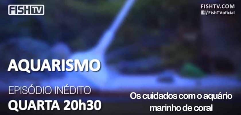 Os cuidados com o aquário marinho de coral fishtv