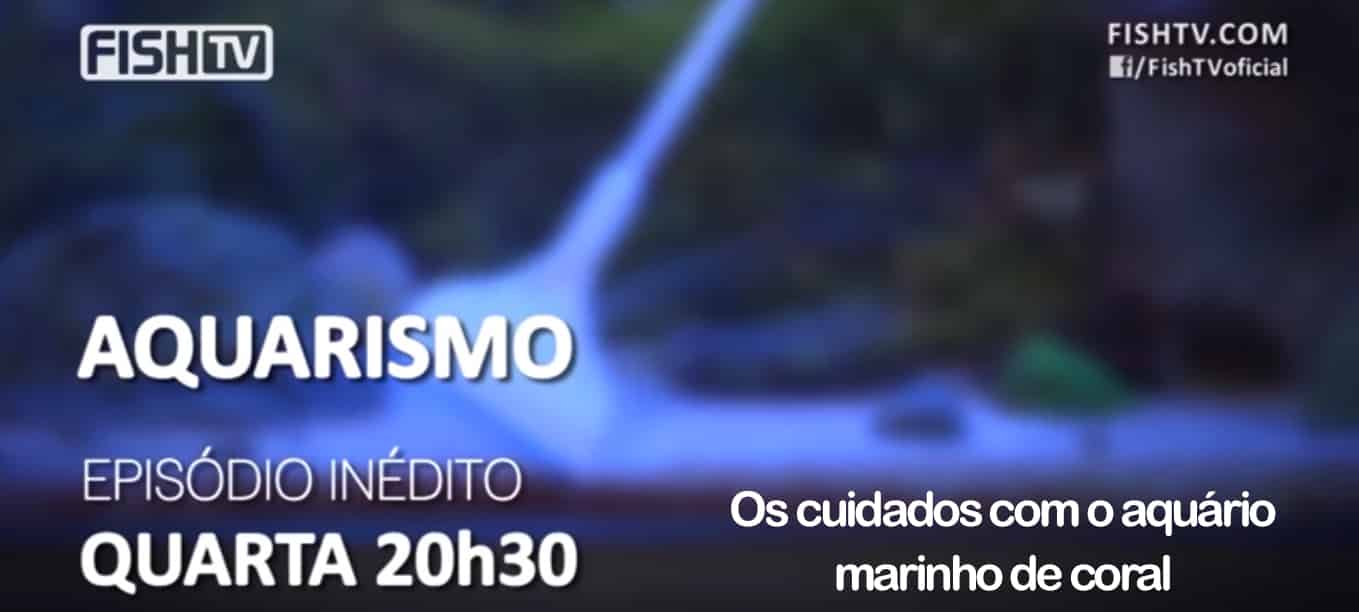 Os cuidados com o aquário marinho de coral fishtv