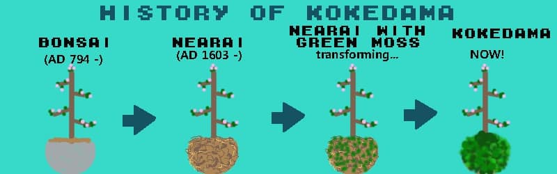 evolução kokedama