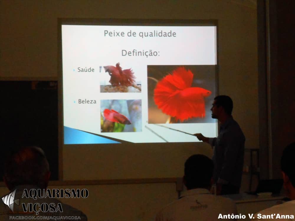 Minas Gerais: II Encontro de Aquarismo em Viçosa 