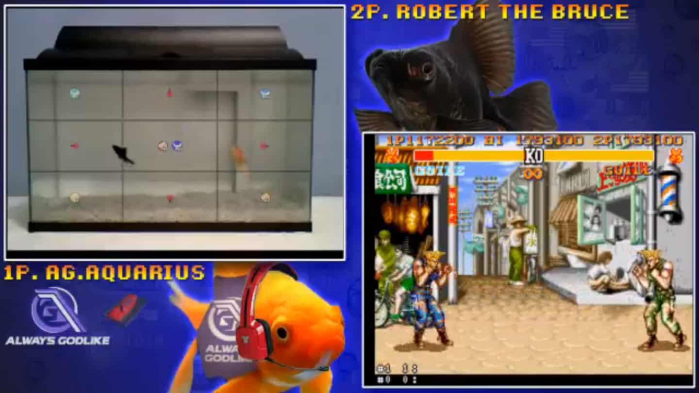 Peixe vs peixe no Street Fighter 2