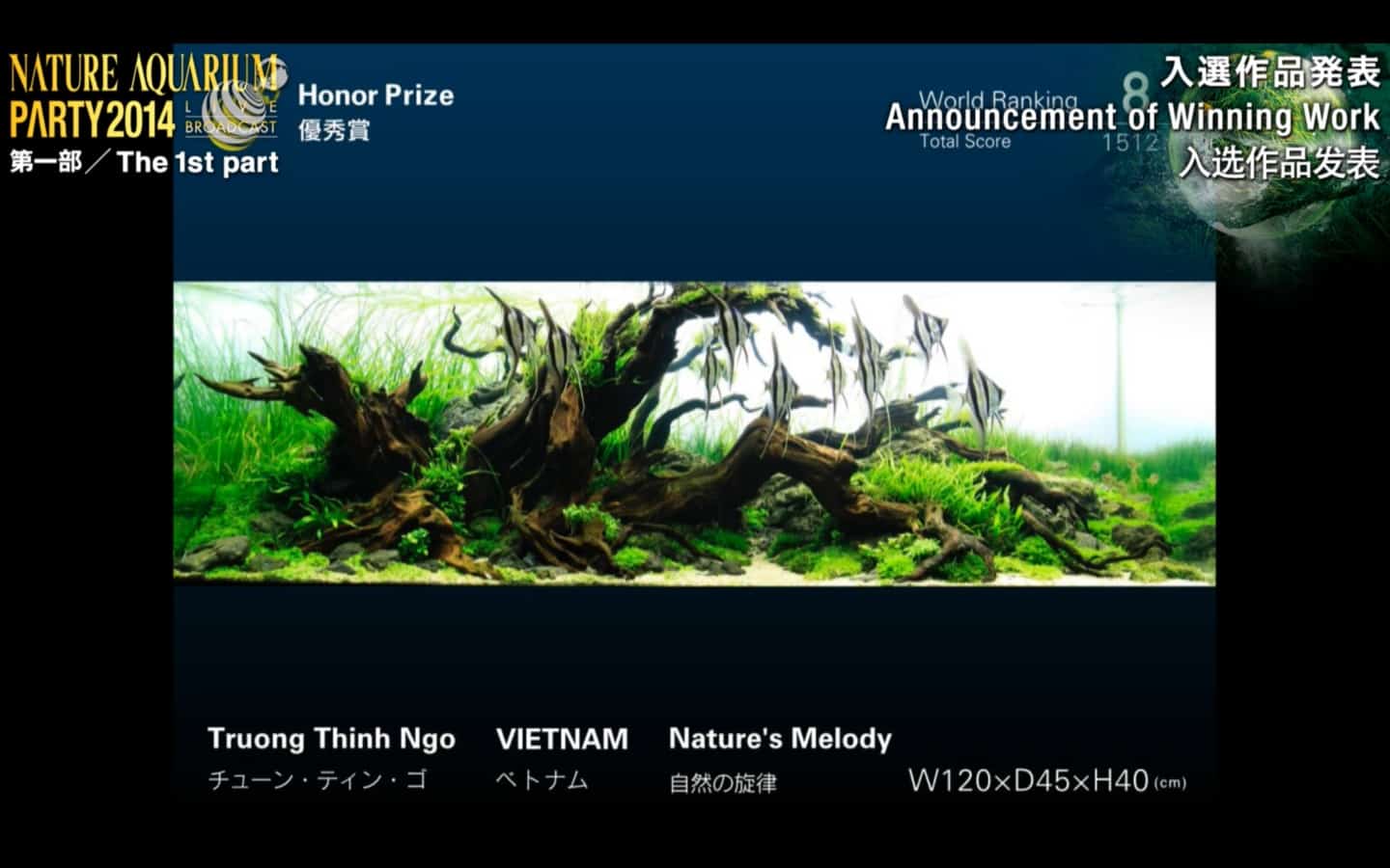 Rank 8º -  Truong Thinh Ngo - IAPLC 2014