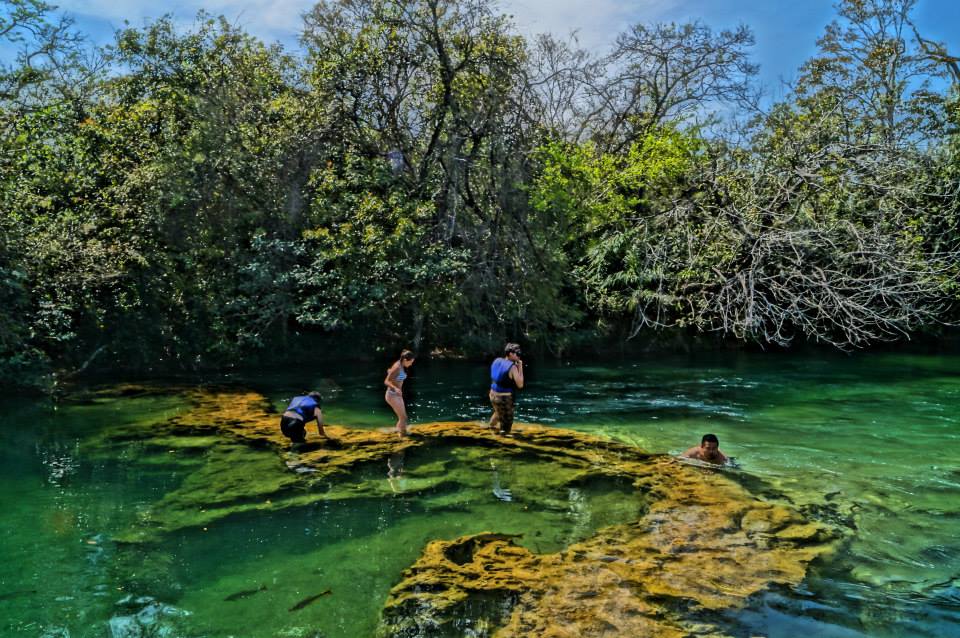 ÁGUAS BRASILEIRAS conservação gestão e sustentabilidade