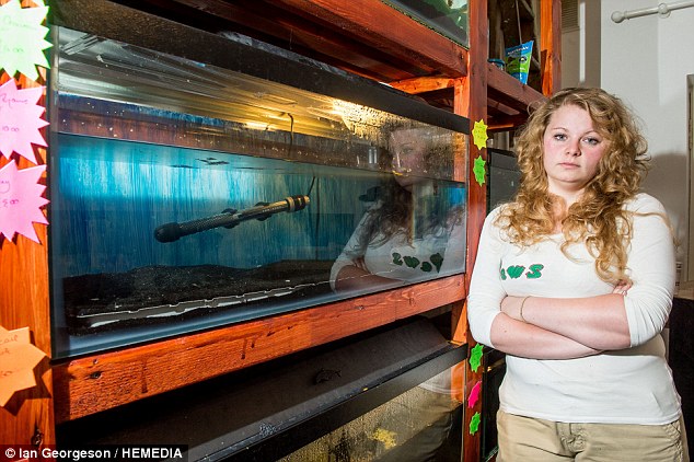 300 peixes morrem em ataque suspeito em um PET shop