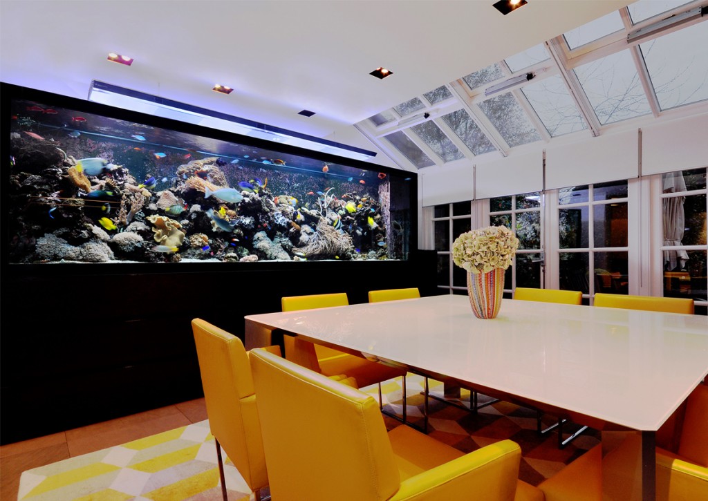 Ocean kitchen aquariumarchitecture (Cozinha com aquário)