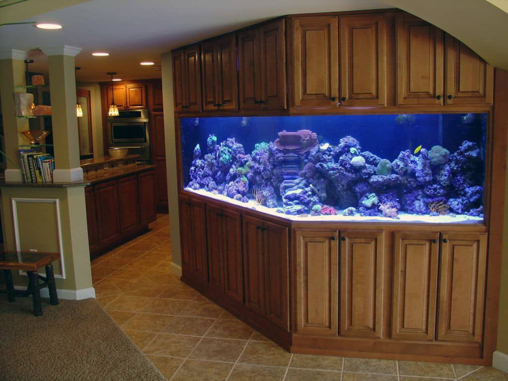 aquarium kitchen -  Arron Lucky (aquario na cozinha)