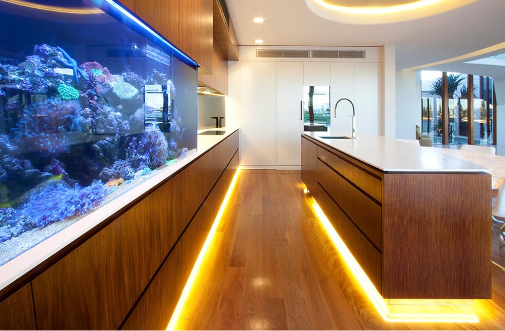 aquarium kitchen -  Mark Gacesa (aquario na cozinha)