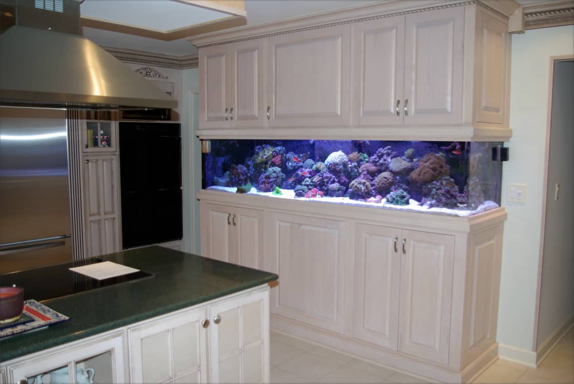 aquarium kitchen -  bpaquarium  (aquario na cozinha)