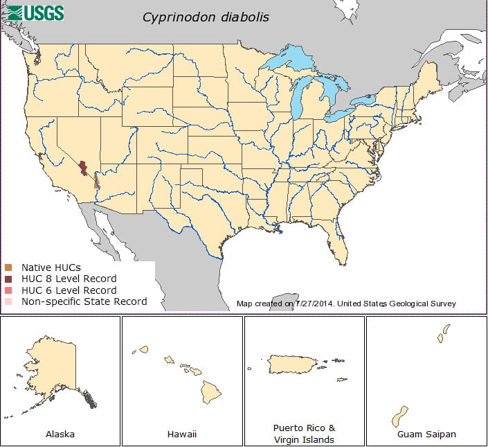 localidade do Cyprinodon Diabolis