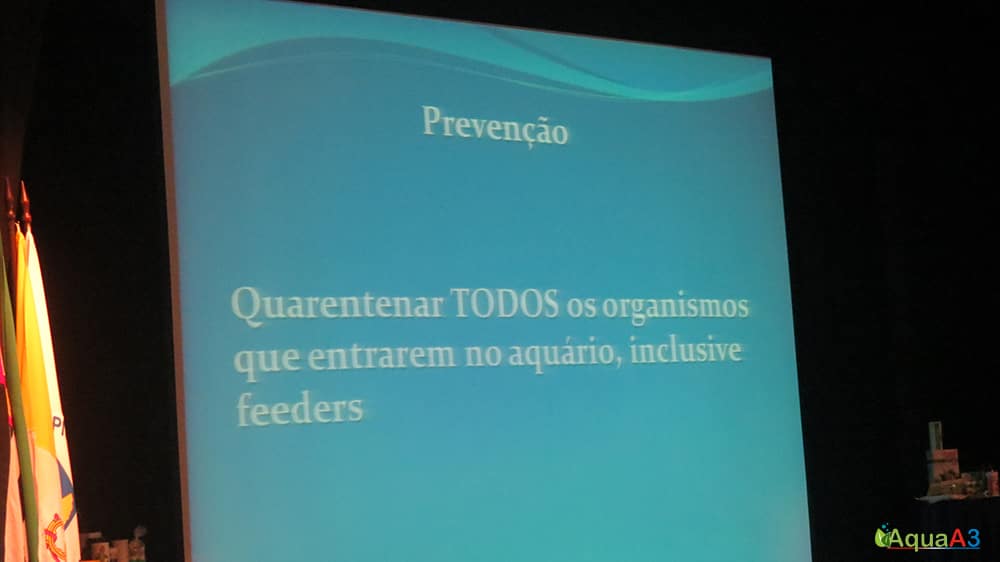 Encontro Brasileiro de Aquarismo (EBA) palestra ‎Renato Moterani sobre Quarentena