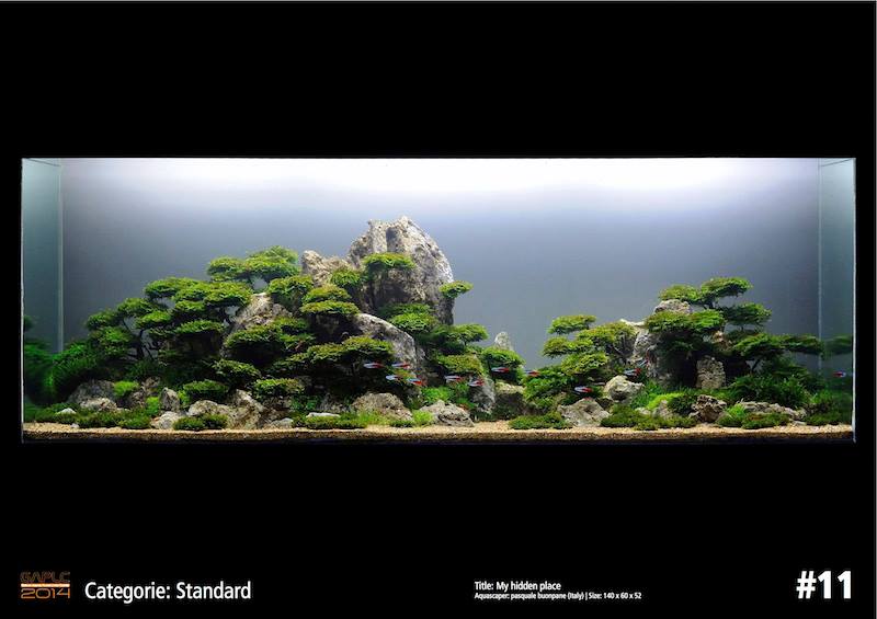 Rank 11 German Aquatic Plants Layout Contest  - GAPLC 2014