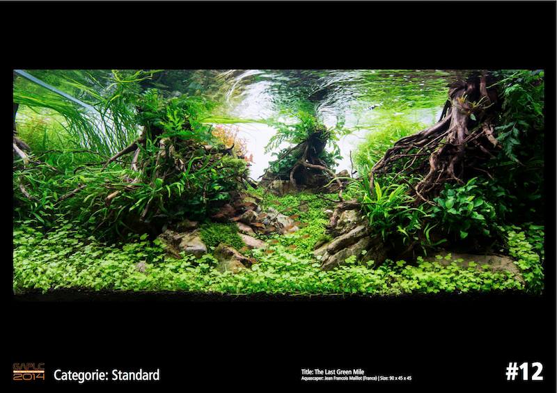 Rank 12 German Aquatic Plants Layout Contest  - GAPLC 2014