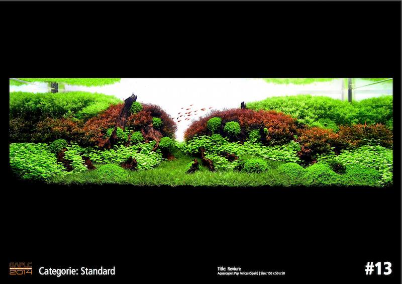 Rank 13 German Aquatic Plants Layout Contest  - GAPLC 2014