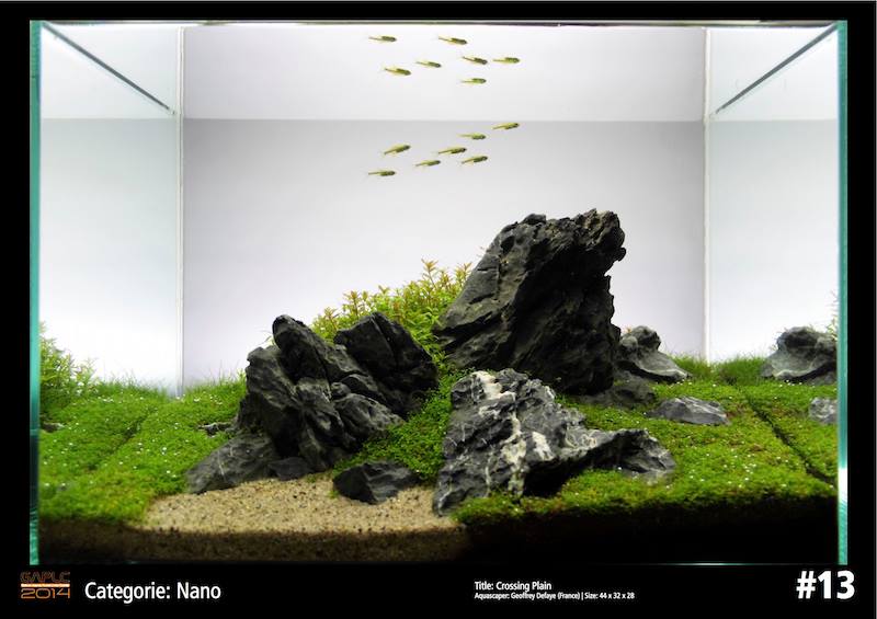 Rank 13 Nano - German Aquatic Plants Layout Contest  - GAPLC 2014