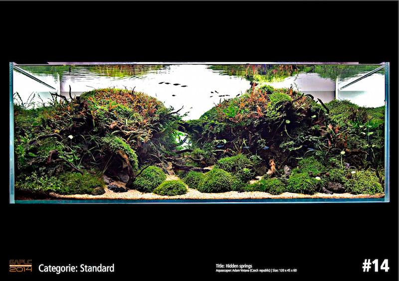 Rank 14 German Aquatic Plants Layout Contest  - GAPLC 2014