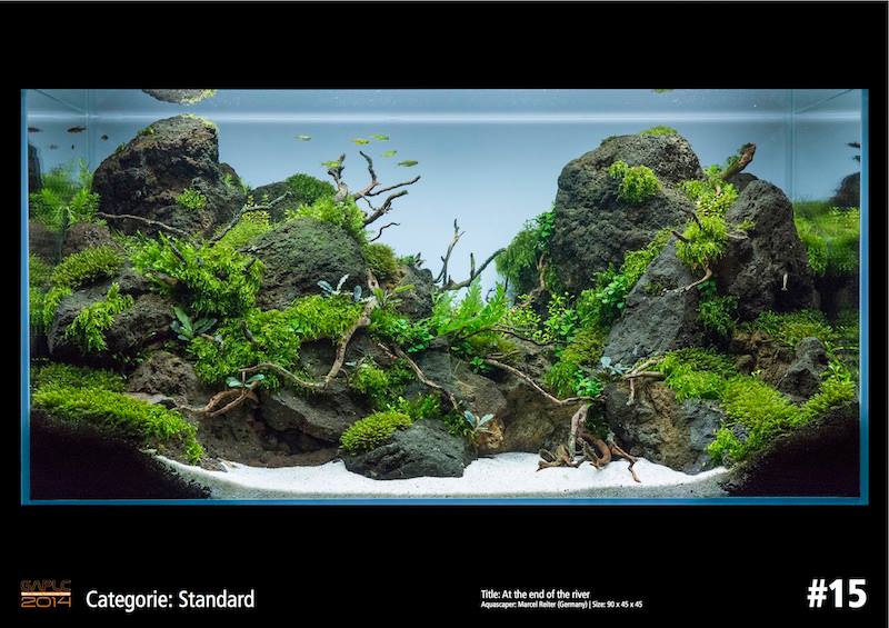 Rank 15 German Aquatic Plants Layout Contest  - GAPLC 2014