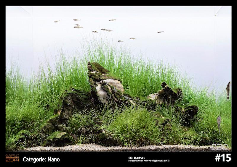 Rank 15 Nano - German Aquatic Plants Layout Contest  - GAPLC 2014