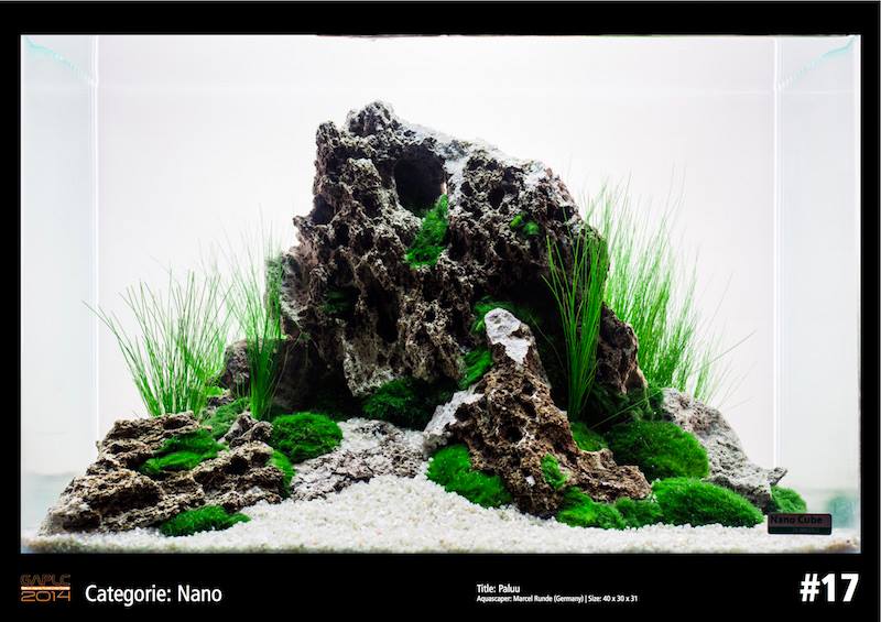 Rank 17 Nano - German Aquatic Plants Layout Contest  - GAPLC 2014