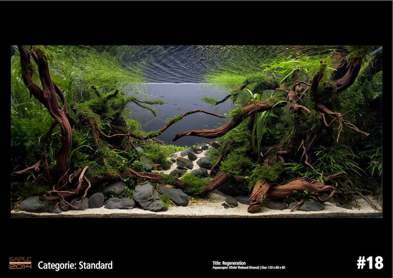 Rank 18 German Aquatic Plants Layout Contest  - GAPLC 2014