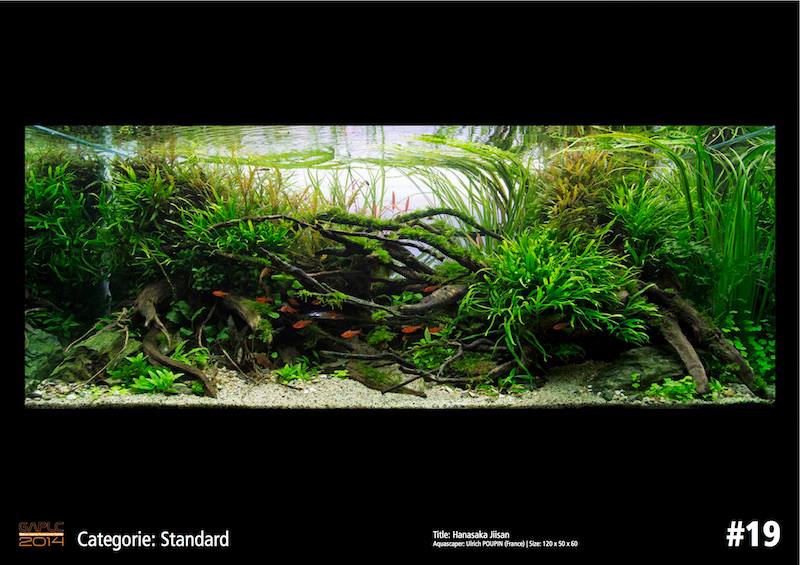 Rank 19 German Aquatic Plants Layout Contest  - GAPLC 2014