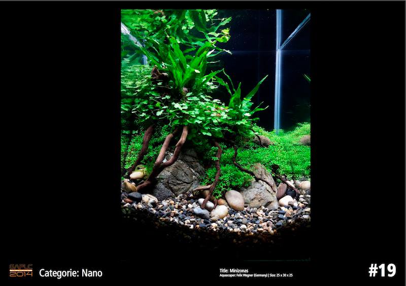 Rank 19 Nano - German Aquatic Plants Layout Contest  - GAPLC 2014