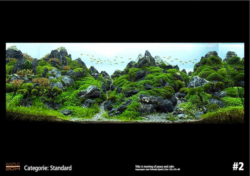 Rank 2 German Aquatic Plants Layout Contest  - GAPLC 2014