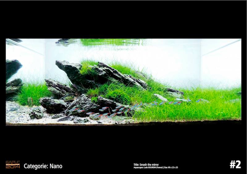 Rank 2 Nano - German Aquatic Plants Layout Contest  - GAPLC 2014