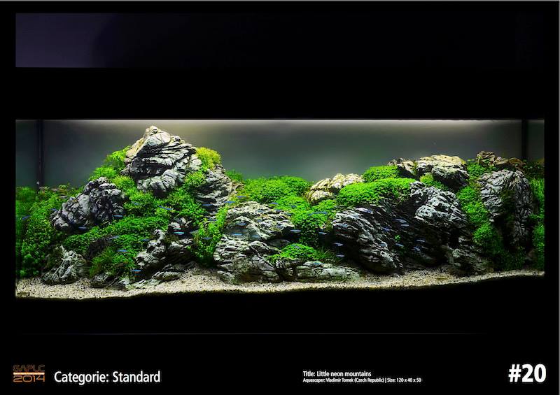 Rank 20 German Aquatic Plants Layout Contest  - GAPLC 2014