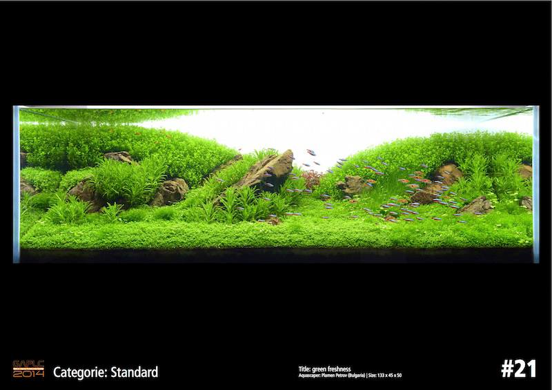 Rank 21 German Aquatic Plants Layout Contest  - GAPLC 2014