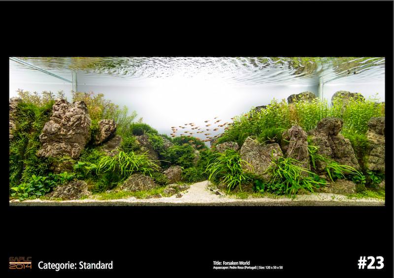 Rank 23 German Aquatic Plants Layout Contest  - GAPLC 2014